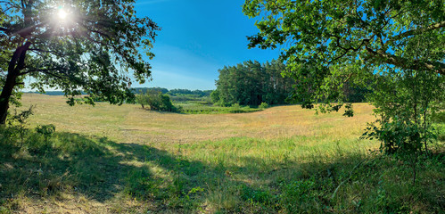 A landscape in summer with sunshine and blue sky. Concept nature reserves in Germany.