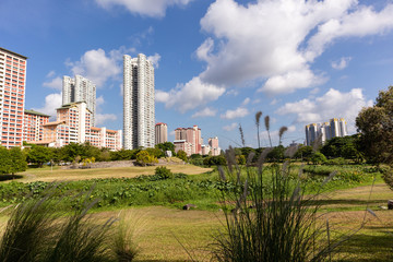 Fototapeta na wymiar Tall residential building towering over the neighborhood park