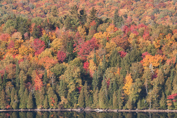 Obraz premium Couleurs d'automne