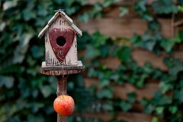 Cute Birdhouse With Apple Across Ivy Wall