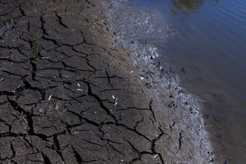 Land with dry and cracked ground. Desert,Global warming background.