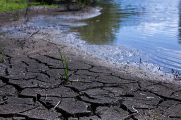 Land with dry and cracked ground. Desert,Global warming background.
