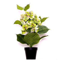 Flowers  decor. Minimal flat lay design art