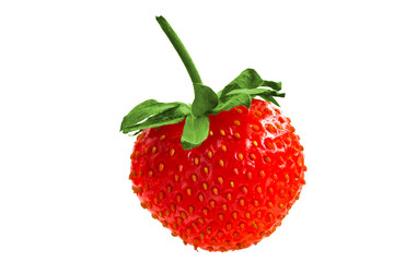 Fresh, small strawberries close up on a white background.