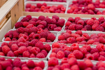 Raspberries basket at the Bio market. Fruits and Red fruits Bilder