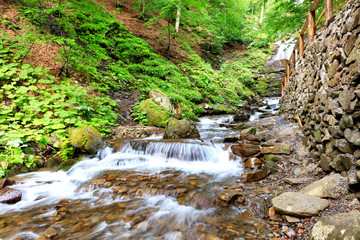 Fototapeta premium The picturesque and beautiful cascade waterfall of a mountain river in the gorge of the Carpathians.