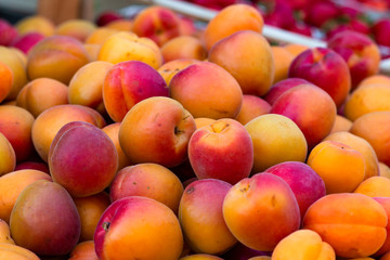 Fresh peaches. Citrus fruits Bio Market Bilder