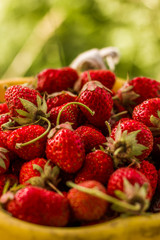 Strawberries / Freshly picked strawberries. Strawberries, close-up, soft focus.Ripe red strawberries. Bowl filled with juicy fresh ripe red strawberries. Fresh strawberries. healthy food photo