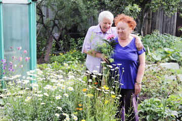 Two eldery seniors, talking in the garden near the flowers. Close friends.