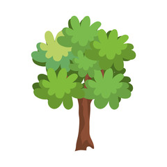 tree plant nature isolated icon