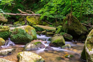 waterfall in forest, Mullerthal Luxembourg