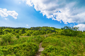 Obraz premium Mountain landscape with beautiful clouds. Ukraine. Carpathians. Travels.