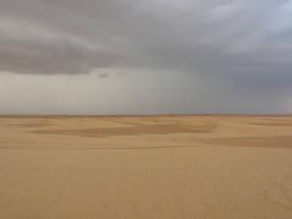 Dunes in the sahara, merzouga morocco. Golden desert dunes. Hills of the sahara. Evening in the desert. Lanscape morocco. Scenic view.