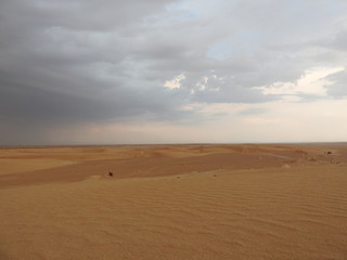Fototapeta na wymiar Dunes in the sahara, merzouga morocco. Golden desert dunes. Hills of the sahara. Evening in the desert. Lanscape morocco. Scenic view.