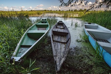 Łódki tracycyjne, drewniane na brzegu rzeki latem