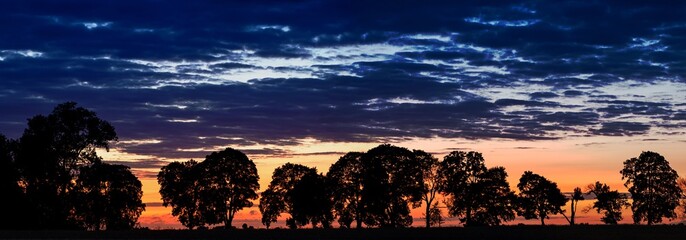 Panorama drzew na tle burzowego dramatycznego nieba o zachodzie słońca