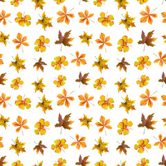 Fototapeta na wymiar Watercolor pattern of leaves, branches, flowers. Hand-drawn seamless texture. Autumn decorative elements in yellow and orange tones. Isolated objects on white background.
