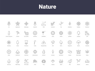 nature outline icons