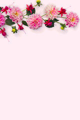 Fototapeta na wymiar Dahlia flowers and fuchsia triphylla on a light pink background with space for text. Top view, flat lay