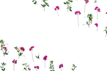 Creative frame of summer pink wildflowers Lathyrus ( peavines, vetchlings ) on a white background with space for text. Top view, flat lay