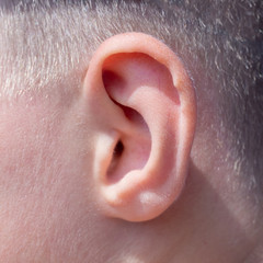 Teen boy macro close up ears