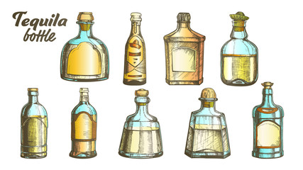 Fototapeta na wymiar Stylish Collection Tequila Glass Bottle Set Vector. Sketch Of Different Design Modern And Vintage Bottle For Traditional Mexican Alcohol Drink. Bright Assortment Of Liquid Package Color Illustrations