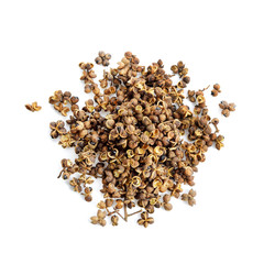 Zanthoxylum limonella Alston on white background