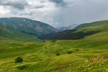 Fototapeta na wymiar Highlands and green meadows Oshten Fisht in the Caucasus Reserve. Caucasian reserve, mountain, Krasnodar region
