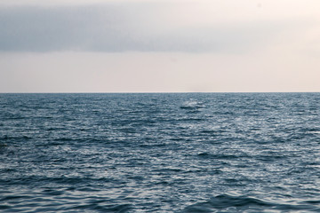 Fototapeta premium sea ​​background on a cloudy day