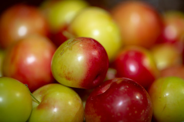 yellow red plum fruit