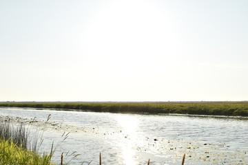 dawn on the far drive