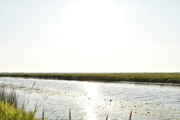 dawn on the far drive