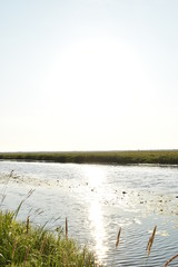 dawn on the far drive