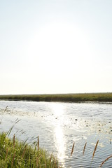 dawn on the far drive