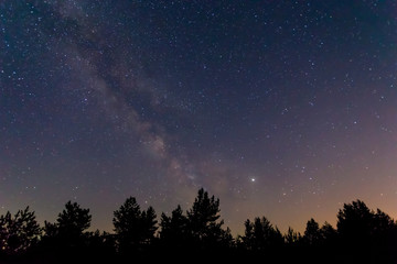 Obraz na płótnie Canvas beautiful night starry sky with milky way above the night forest