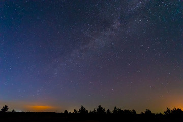 beautiful night landscape, starry sky above the night forest