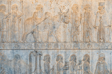 Ancien inscriptions on the walls of Persepolis, the ancient capital of old Persian Achaemenid...