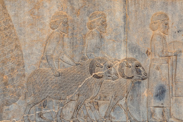 Ancien inscriptions on the walls of Persepolis, the ancient capital of old Persian Achaemenid...