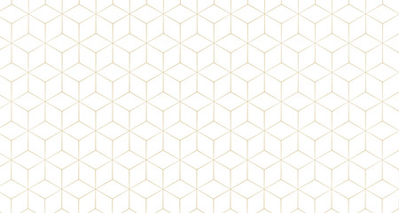 Fototapeta premium stylish hexagonal line pattern background