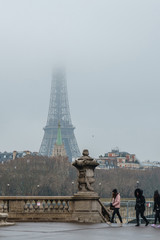 Fototapeta na wymiar View of Eiffel Tower and sienna river in Paris, France