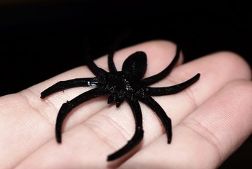 3D printed spider