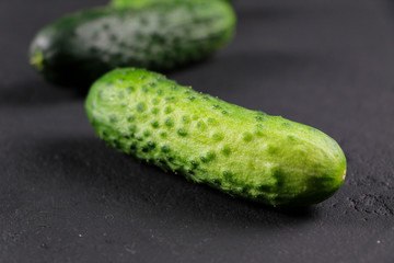 fresh cucumber on gray background