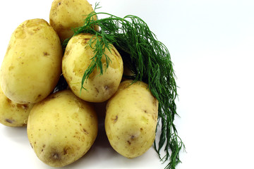 Six potatoes, boiled with peel, green young dill