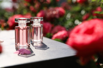 Bottles with rose perfume on table among flowers in blooming garden, space for text