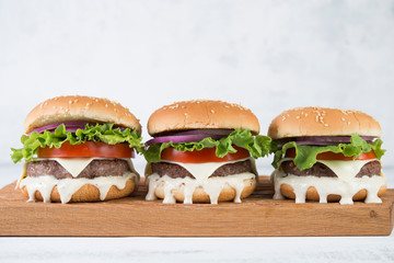 Delicious homemade burgers with beef Patty and vegetables
