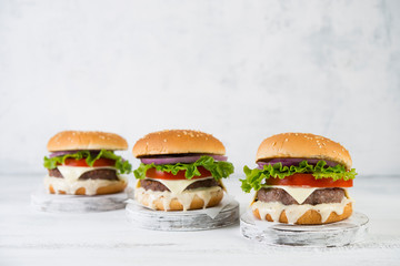 Delicious homemade burgers with beef Patty and vegetables