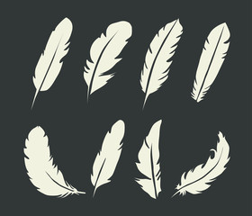 set of black feathers. Vector