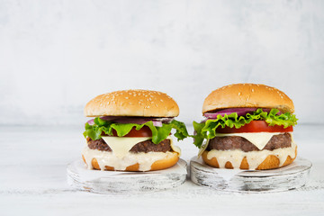 Delicious homemade burgers with beef Patty and vegetables