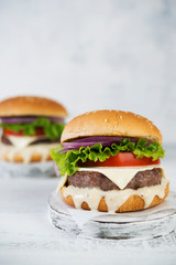 Delicious homemade burgers with beef Patty and vegetables