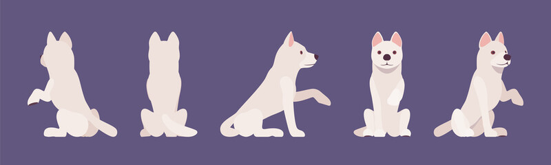 White shepherd dog giving paw, sitting. Working active breed, family companion for disability assistance, search, rescue, police, military help. Vector flat style cartoon illustration, different view